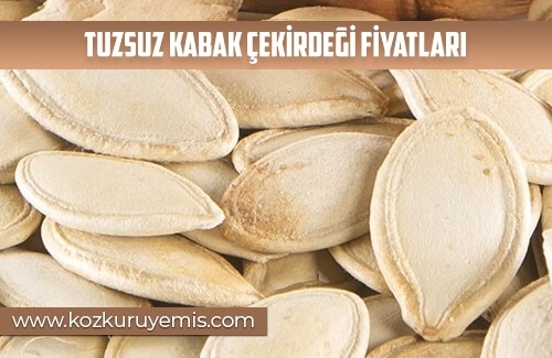 Tuzsuz Kabak Çekirdeği Fiyatları