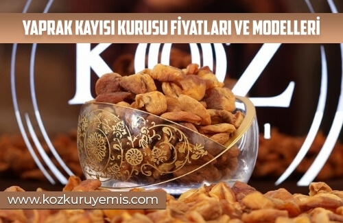 Yaprak Kayısı Kurusu Fiyatları ve Modelleri