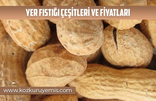 Yer Fıstığı Çeşitleri ve Fiyatları