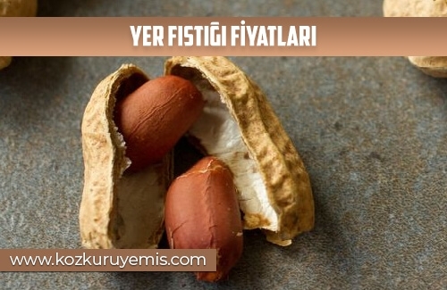 Yer Fıstığı Fiyatları