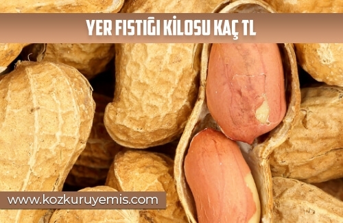 Yer Fıstığı Kilosu Kaç TL