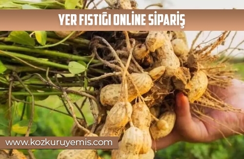Yer Fıstığı Online Sipariş
