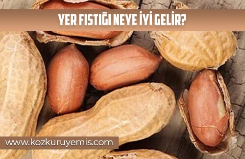 Yer Fıstığı Tüketmenin Faydaları