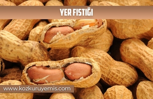 Yer Fıstığı