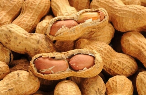 Yer Fıstığının Yararları