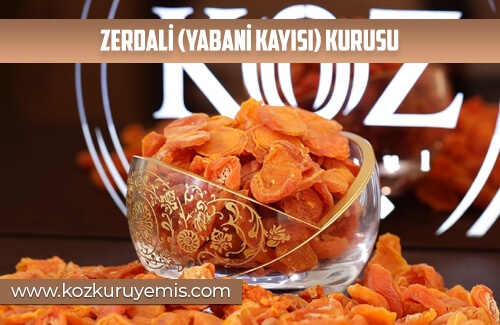 Zerdali (Yabani Kayısı) Kurusu