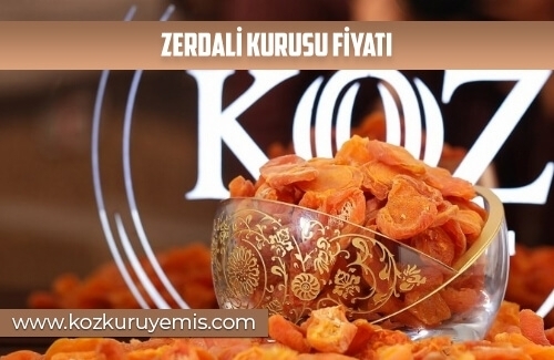 Zerdali Kurusu Fiyatı