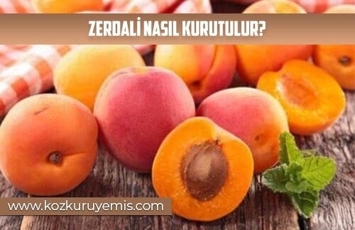 Zerdali Nasıl Kurutulur